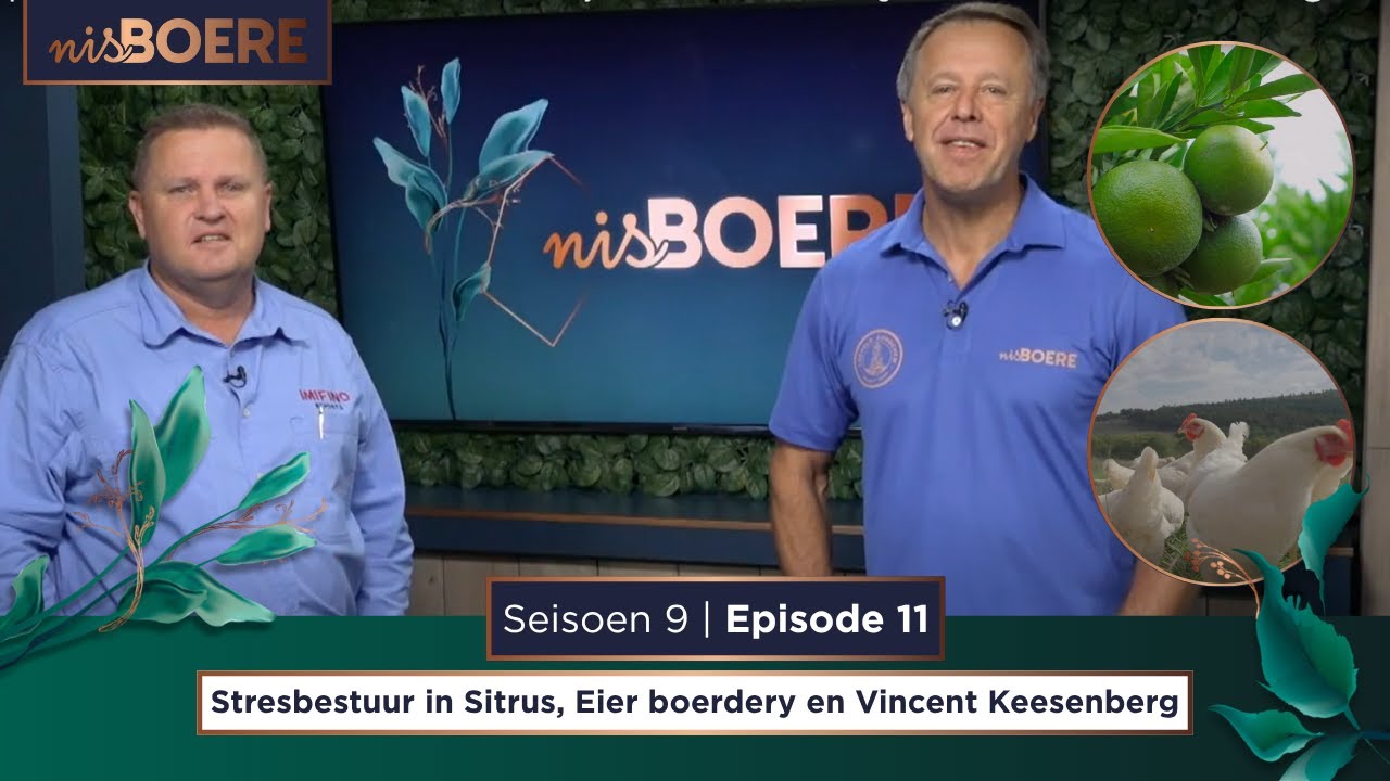 nisBOERE 9 | Episode 11 | Stresbestuur in Sitrus, Eier boerdery en Vincent Keesenberg
