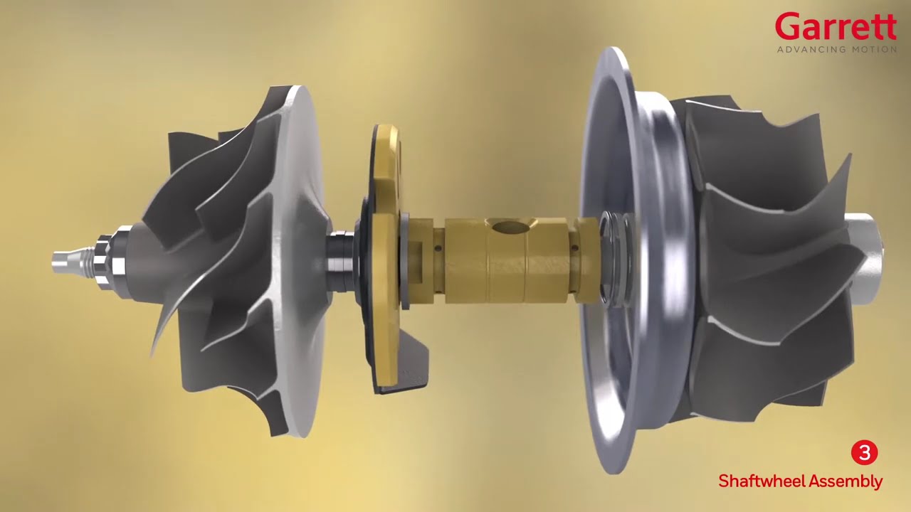 Level 2 video 1