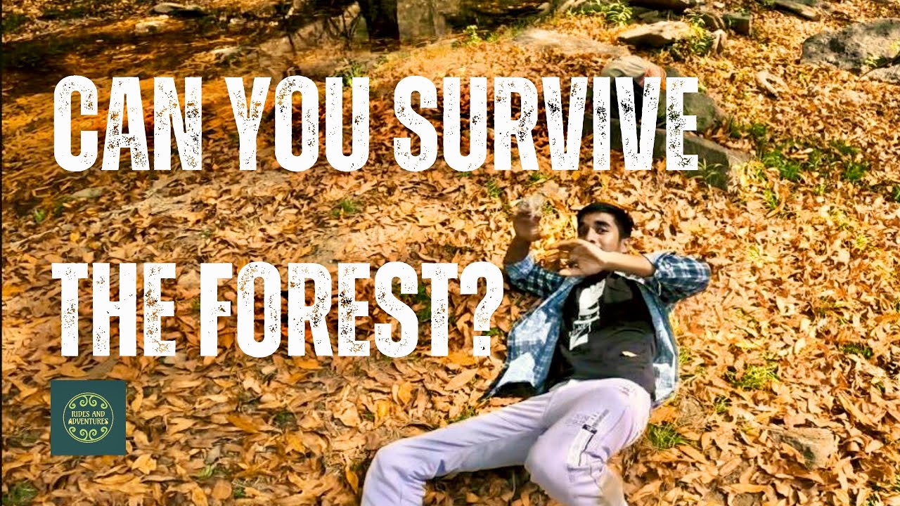 Surajkund Forest | Udaipur Moto Vlog | Cooking in Forest | Meteor 350