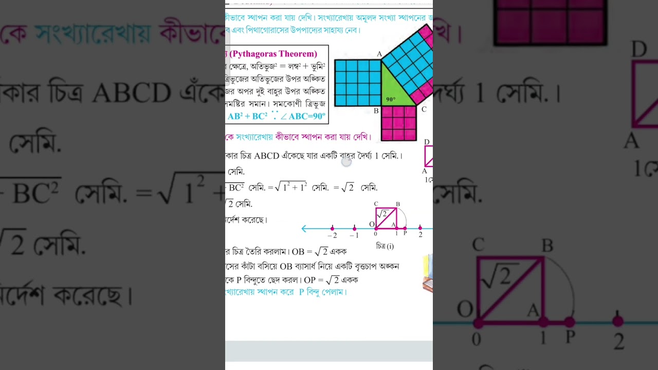 Class 9 koshe dekhi 1.2 #studyvideo#