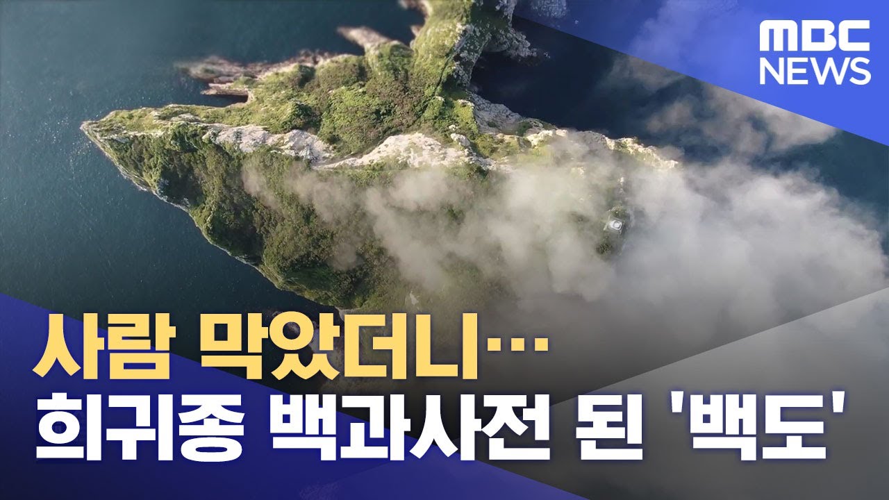 사람 막았더니…희귀종 백과사전 된 섬 '백도' (2021.08.28/뉴스데스크/MBC)