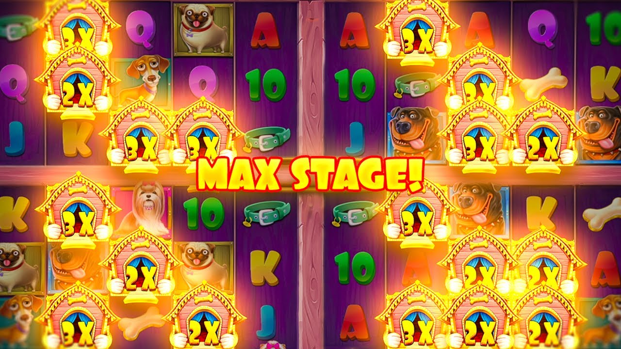 MAX STAGE ON DOG HOUSE MULTIHOLD... AND IT PAID!? (Bonus Buys)