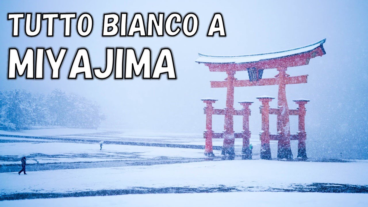 VIVERE IN GIAPPONE : MIYAJIMA E IL TORII SOTTO LA NOVE
