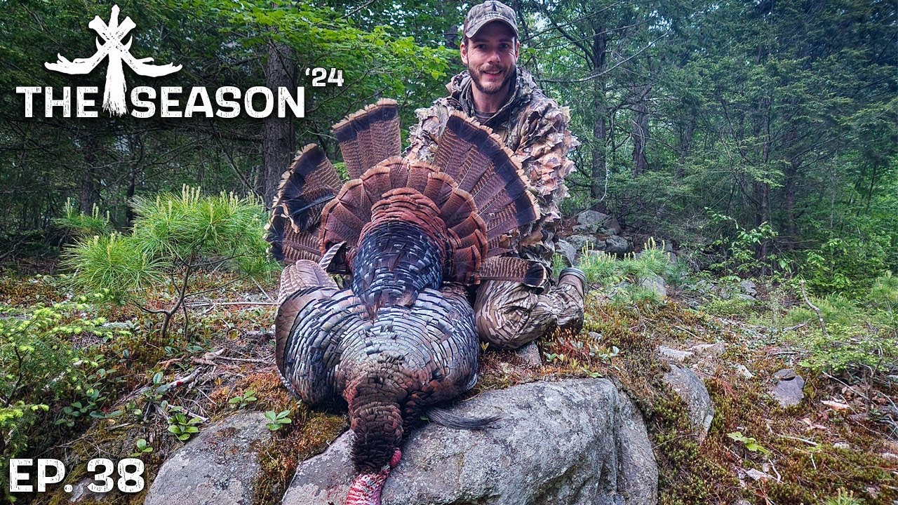 HUNTER FLUSHES TURKEYS FROM THE ROOST | AFTERNOON TURKEY HUNT PAYS OFF