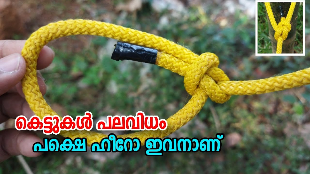 കെട്ടുകളുടെ രാജാവ് ആര്? l King of knot | Rope tricks | Knot | 4P Media #knot #ropetrick #kettukal