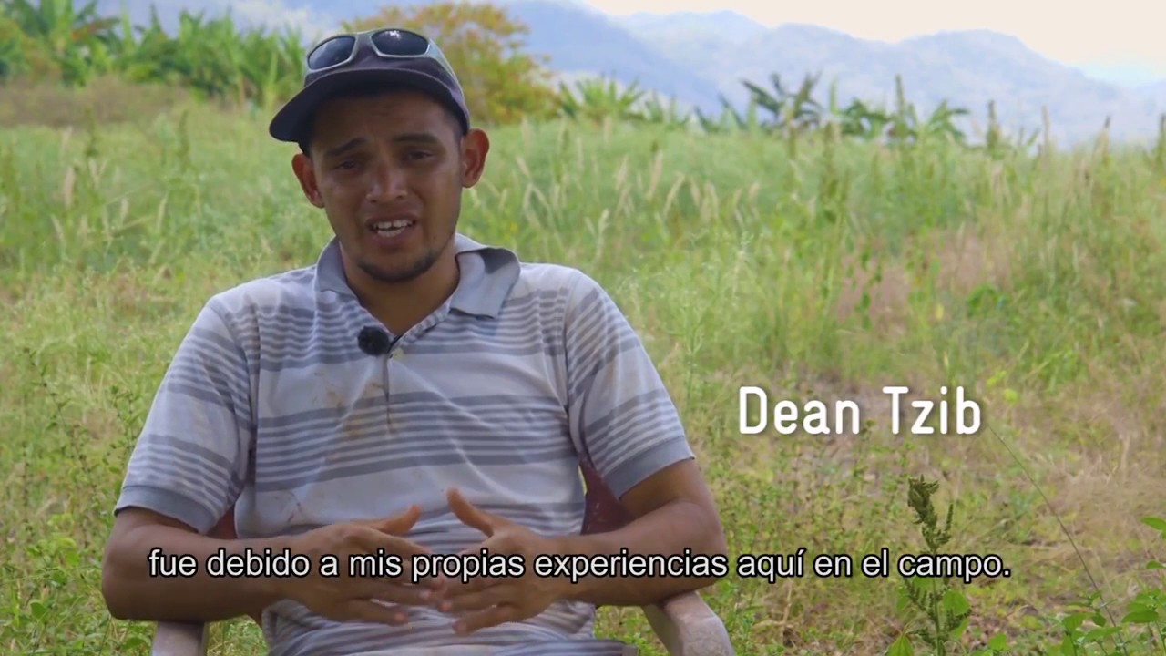 La Selva Maya   un bosque y su gente socia en Peten, Guatemala