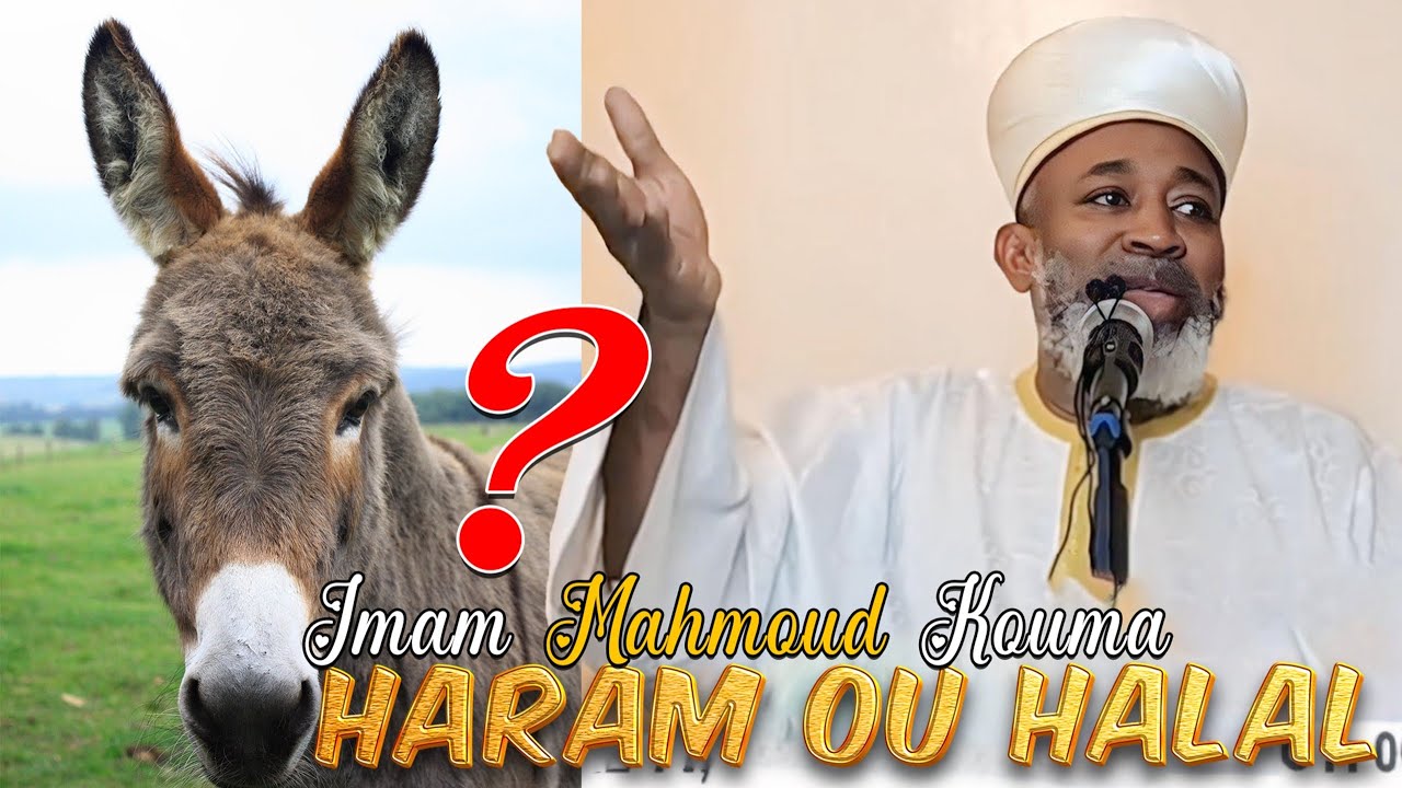 IMAM MAHMOUD KOUMA : LES HARAME ET LES HALAL EN ISLAM 