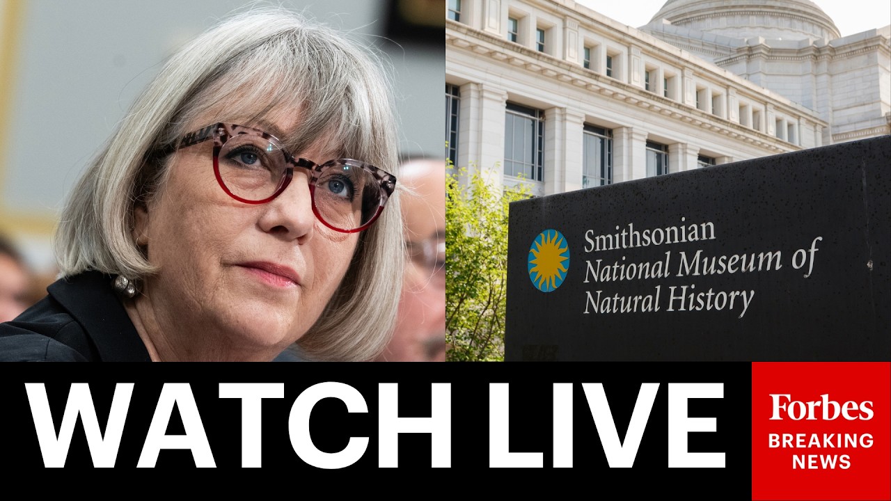 LIVE: Smithsonian Director Faces Grilling Over 'Radical Revisionism' In The House