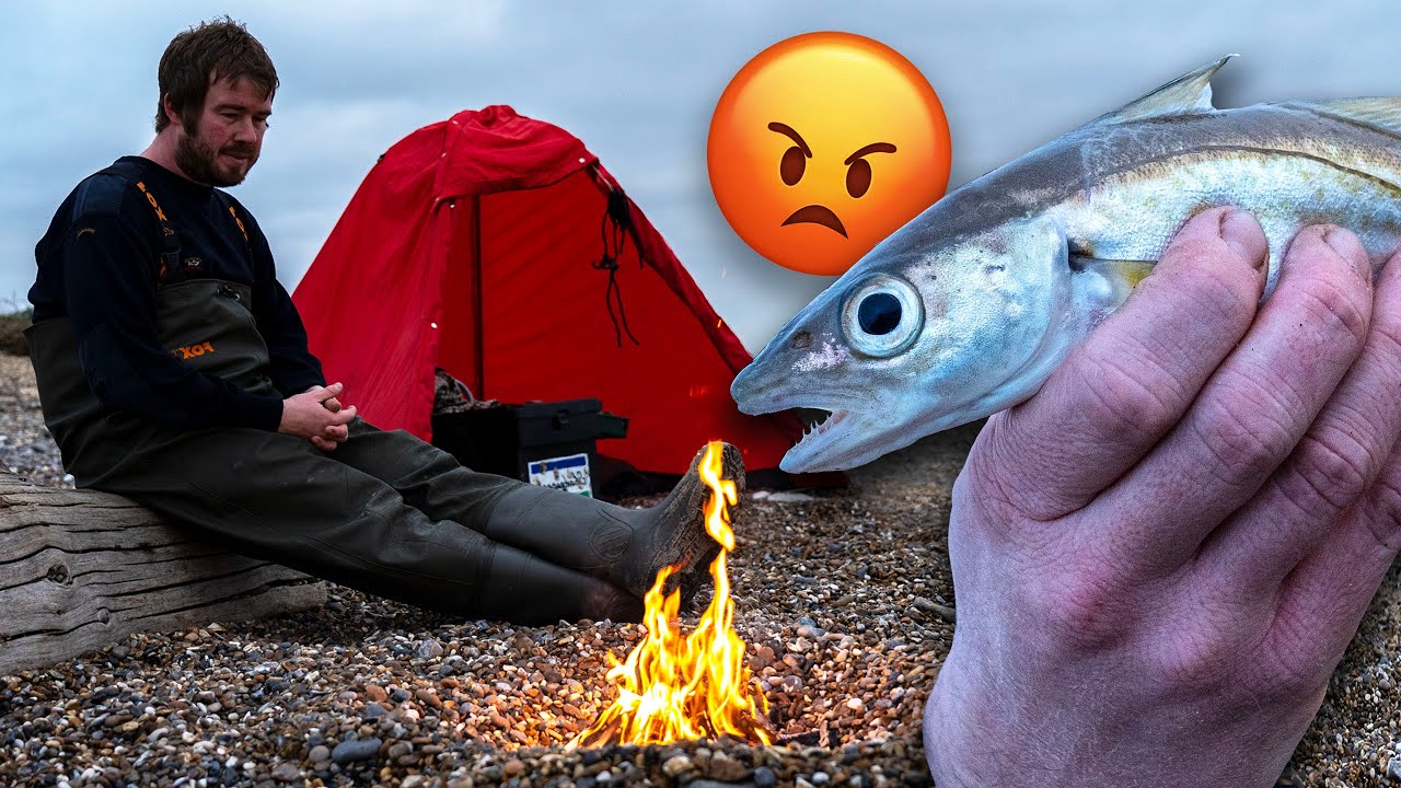 Fishing For The Most HATED Sea FISH in The UK? PART TWO!