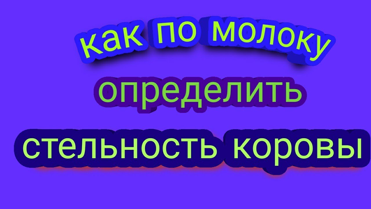 Как по молоку определить стельная корова или нет. Меня не поняли, объясню.