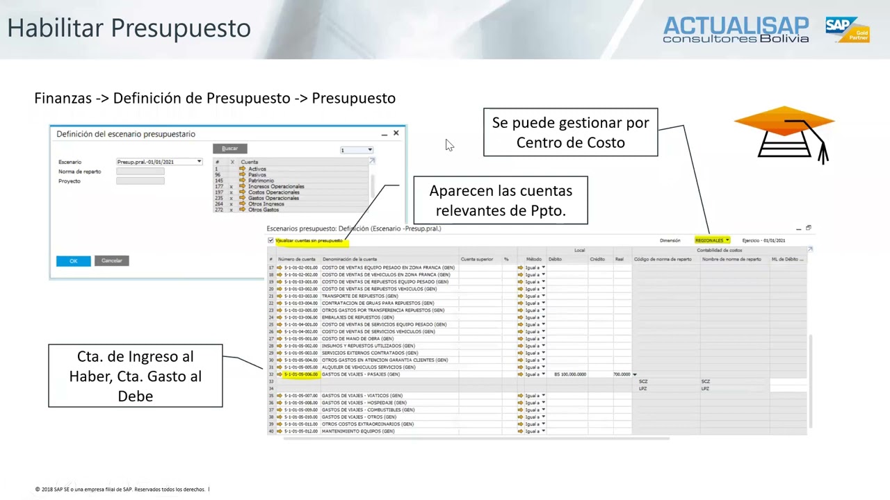 Seminario Online Gratuito - Presupuesto y manejo de flujo de Caja en SAP Business One