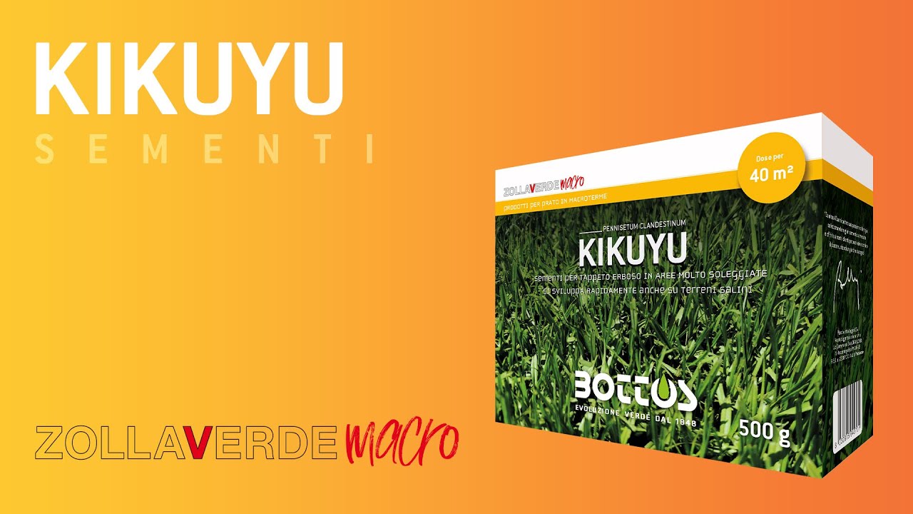 SEMENTI MACROTERME: Kikuyu (100% Pennisetum Clandestinum)