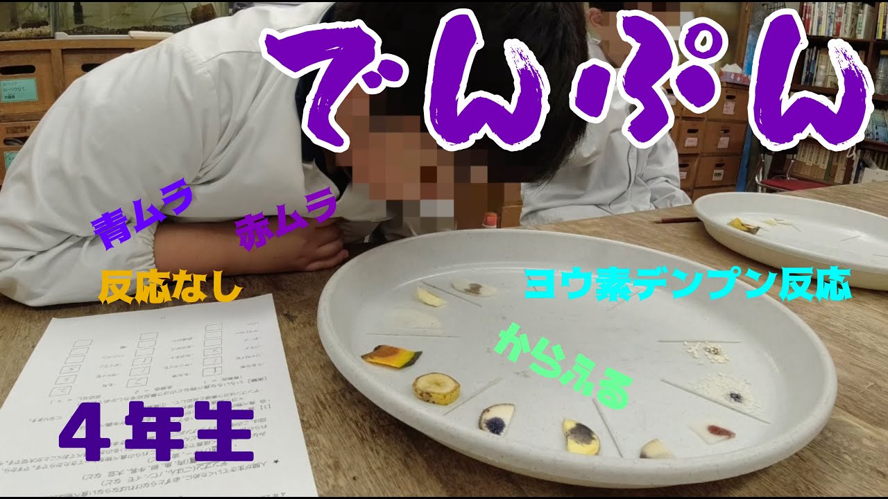 でんぷん：4年生：理科実験 【麻布科学実験教室】