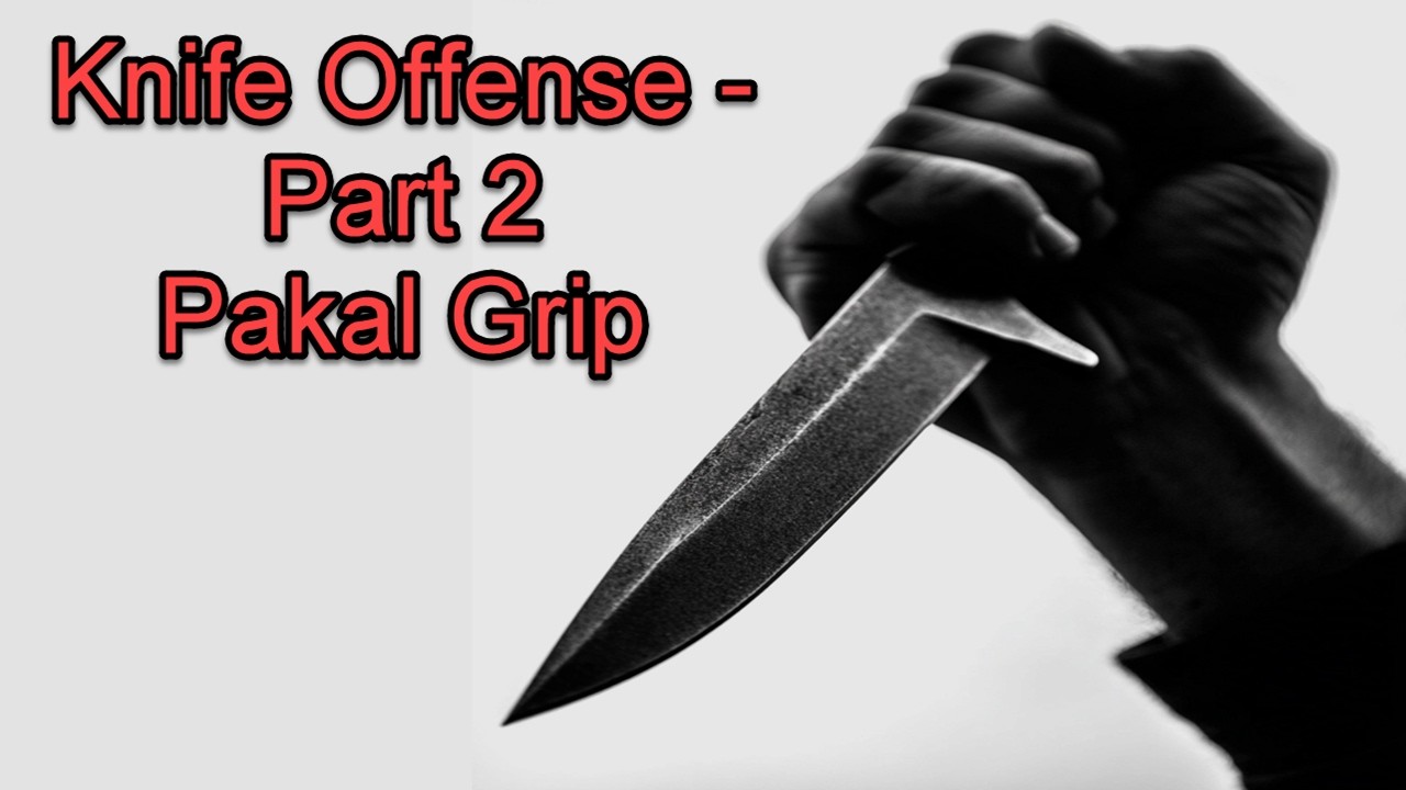 Knife Fighting Basics - The Pakal Grip (Be Threatening but Not Stupid)