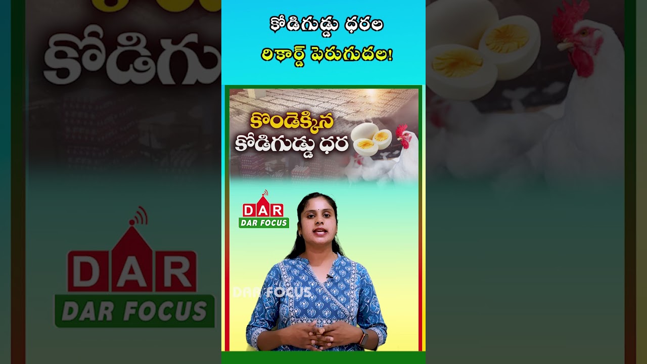 Egg Price Shock: 🥚 Prices Rise to ₹10 as Supply Falls | Latest Updates | DAR FOCUS #darfocus
