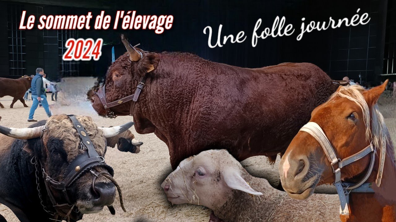 Sommet de L'élevage 2024  Auvergne ...