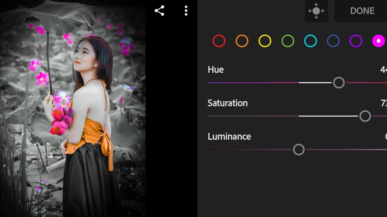 lightroom colour change effect Brown tone photo editing/free download/__Barui Rajesh editing