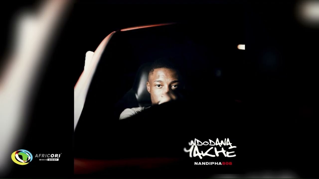 Nandipha808, Mpho Spizzy and Nevrr49 - Government Ft. DT MO (Official Audio)
