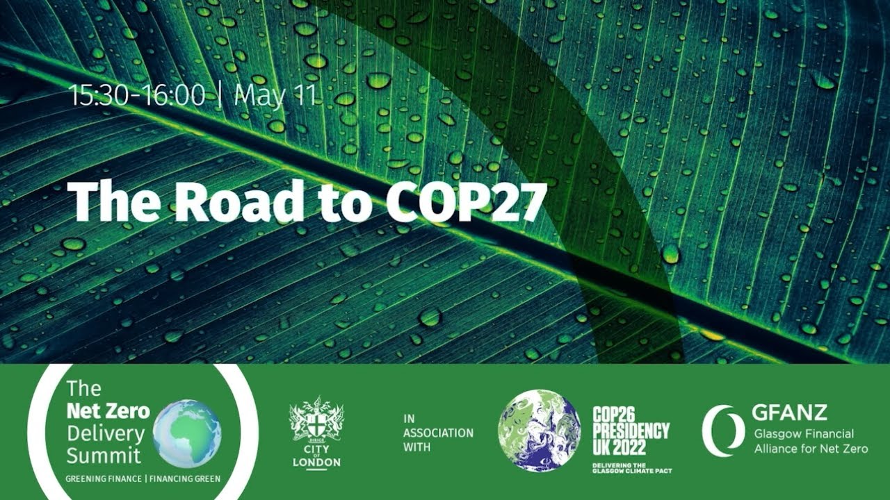 Panel: The Road to COP27
