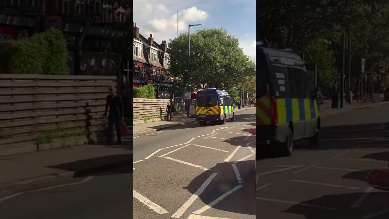 TSG responding to public disorder