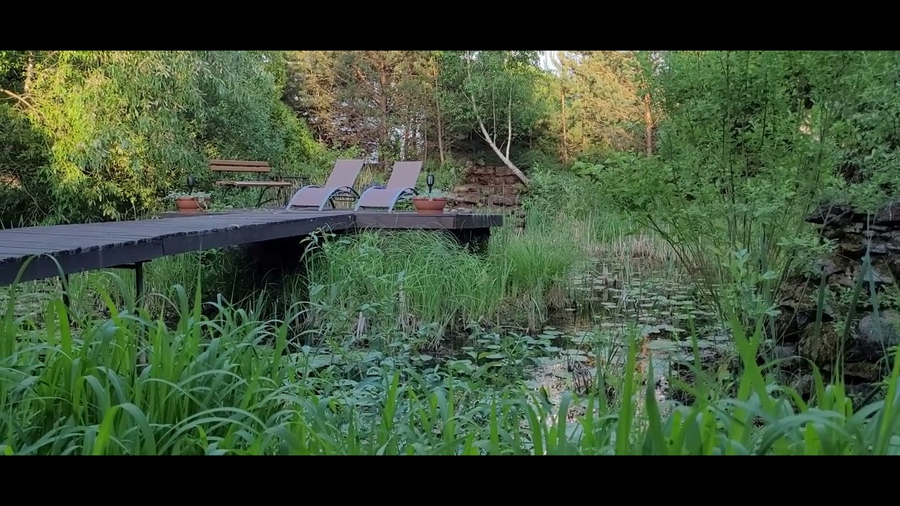 Chillout zone w Kamiennym Ogrodzie Holiday Park - majowy koncert żab