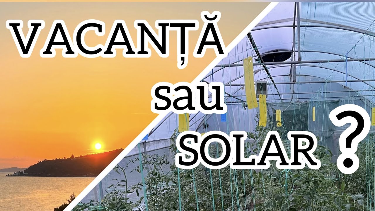 Pleci in vacanta? Sapte masuri preventive de luat IN SOLAR cand pleci 😀 dar si cand...ramai acasa 😕