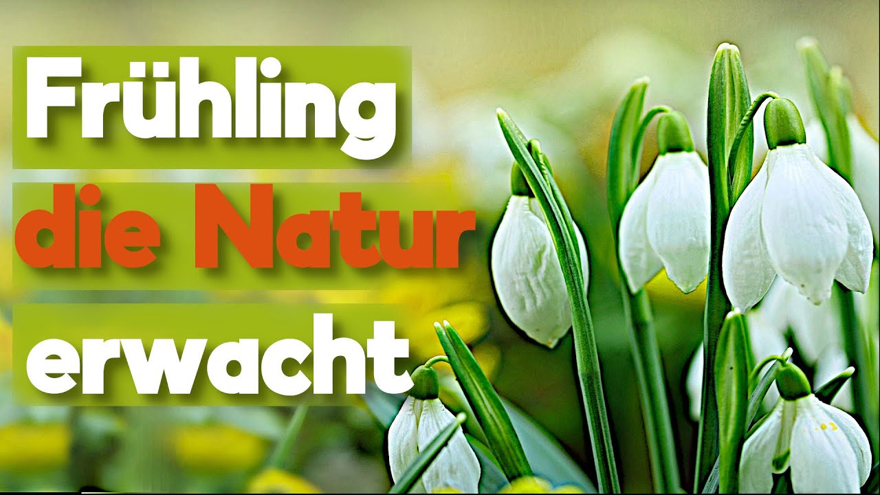 Der Frühling steht vor der Tür