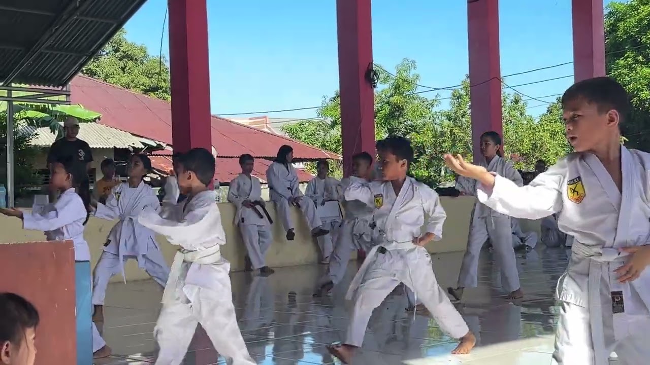 Video Ujian Karate (27) #trending #shorts #love #shortvideo #karate #funny #viral #youtubeshorts