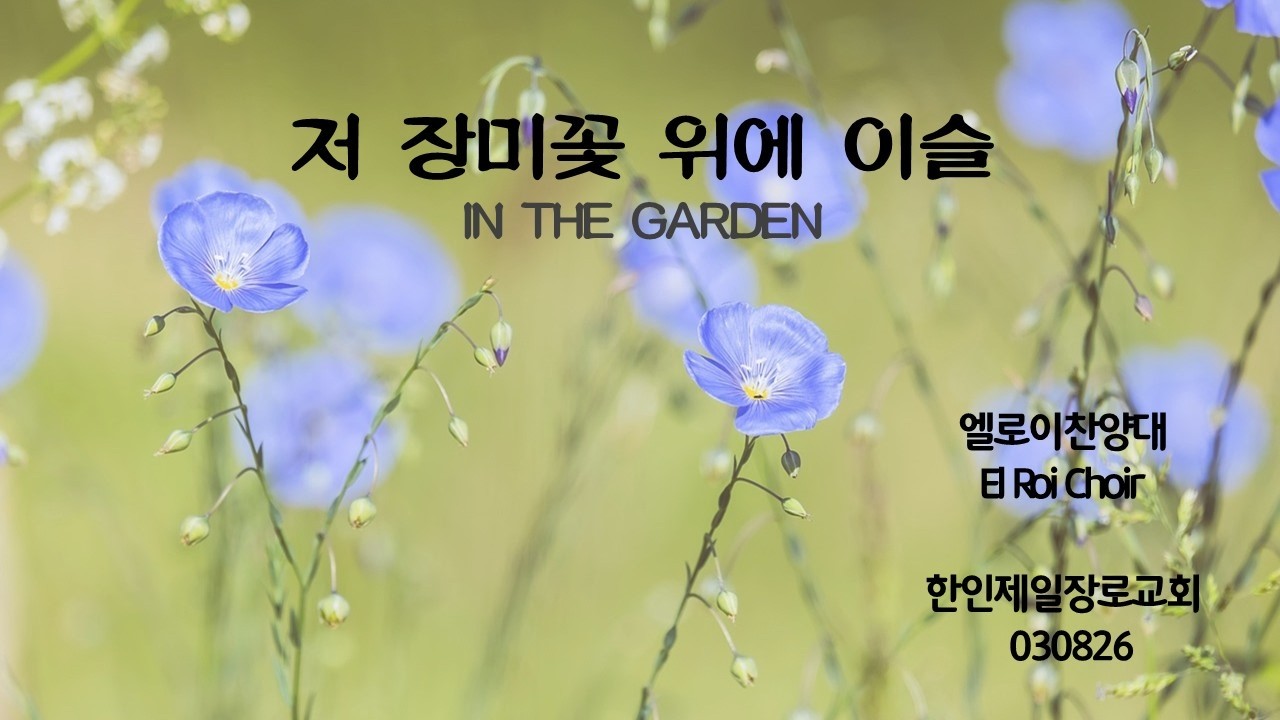 엘로이 찬양대 (저 장미꽃 위에 이슬) 외 8곡_3.8.2026_시카고한인제일장로교회