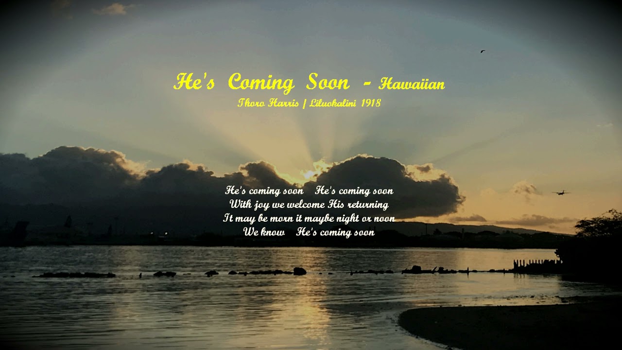 He's Coming Soon by Hawaiian
