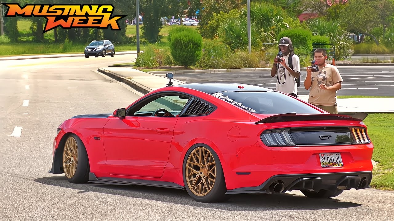 Mustang Week 2024 Cars & Coffee Pullouts & Cops (Mostly Chill)