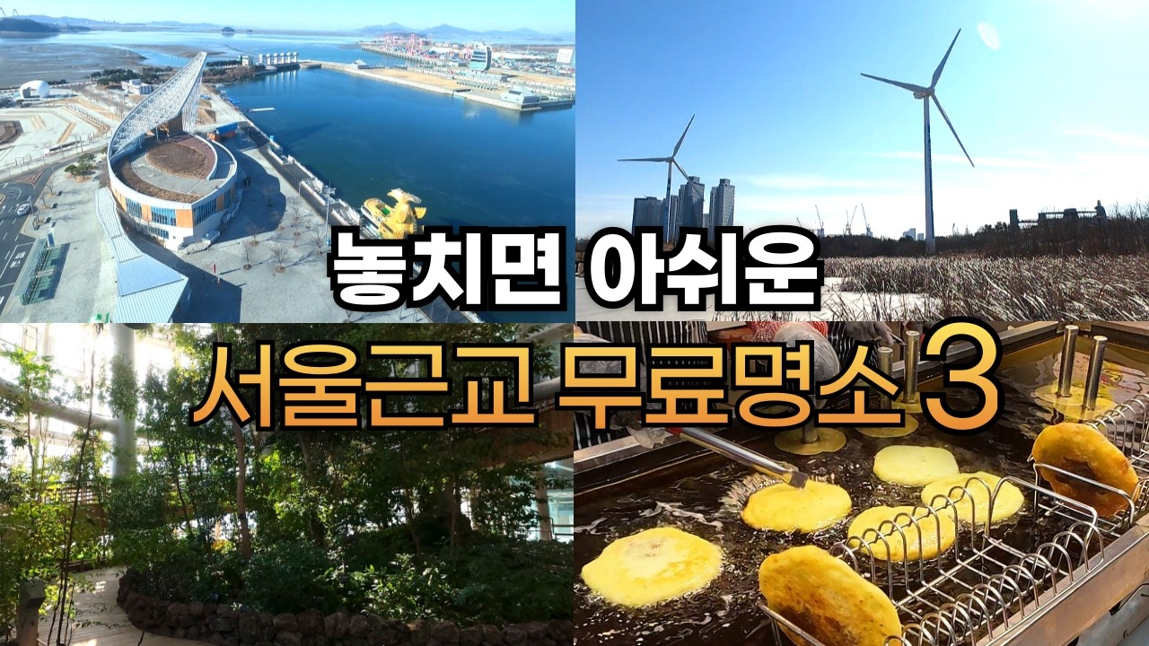 정서진, 딱 이렇게만 가세요! 주차부터 먹거리까지 한 번에 정리