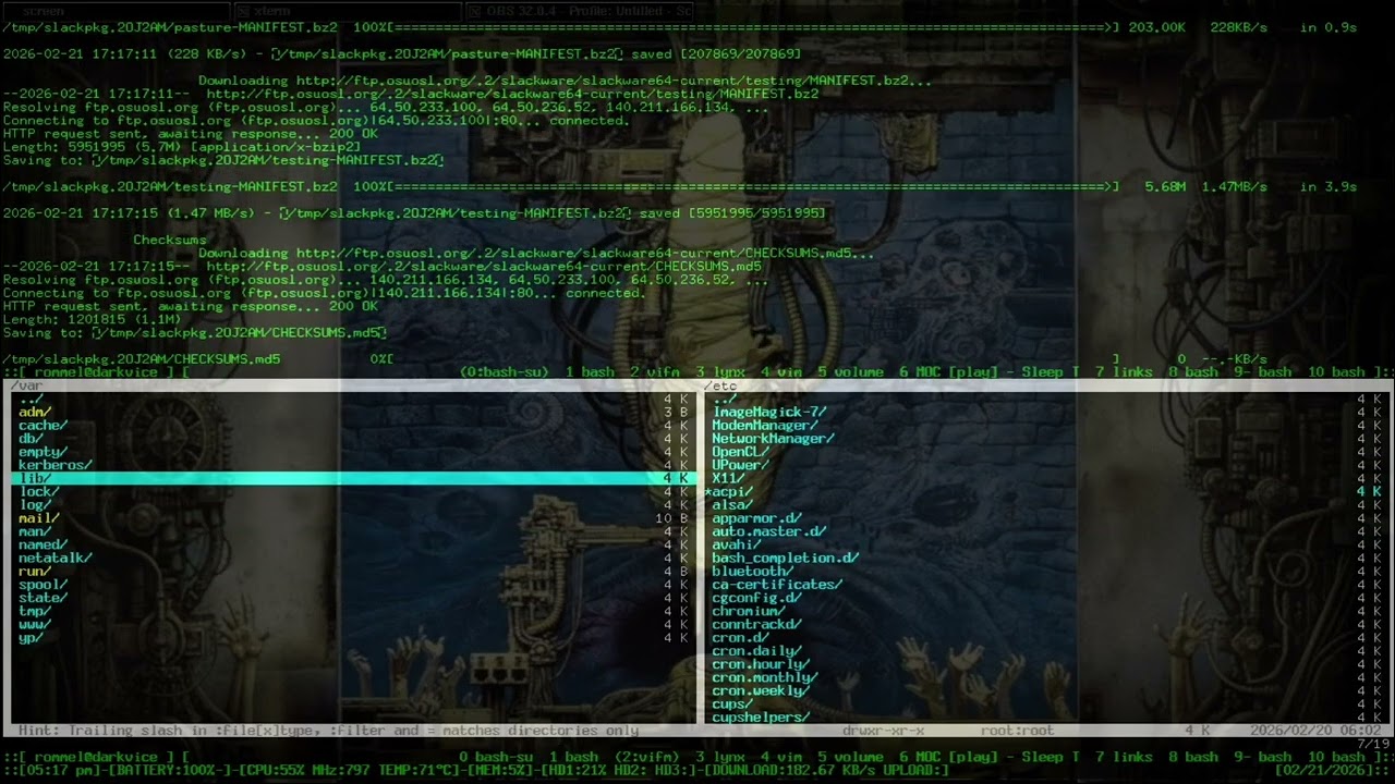 Slackware  , TWM x11 , gnu screen , Thinkpad X220 , linux cli desktop