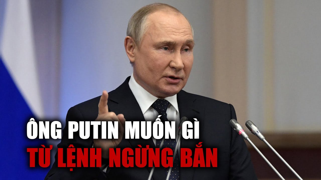 Ông Putin muốn gì từ lệnh ngừng bắn ở Ukraine?