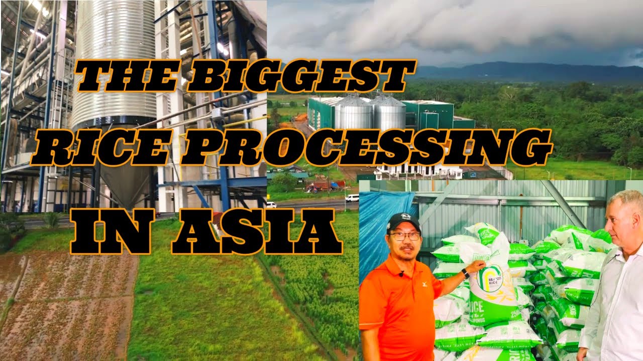 THE BIGGEST RICE PROCESSING IN ASIA/ALANG ALANG LEYTE/SIR MANY PINOL