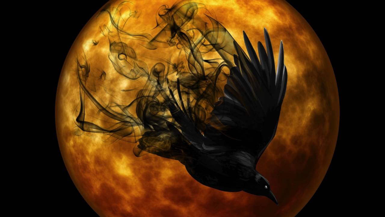Staffan Stridsberg - Black Crow