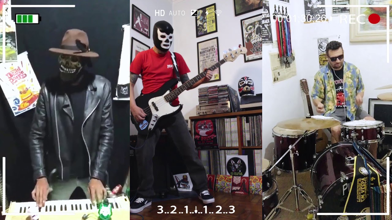 The Fly -The Mummies Cover.