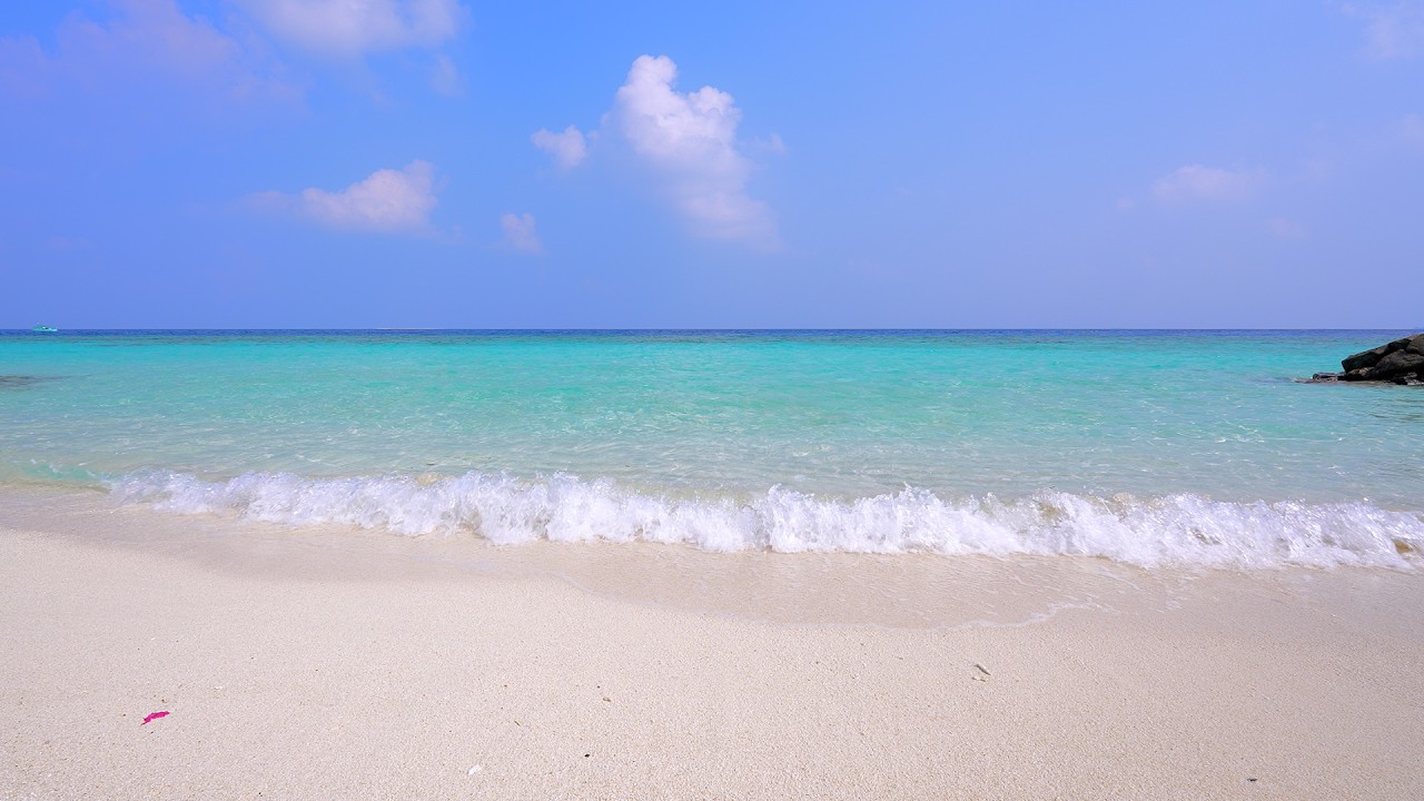 Paradise Found: Ocean and Wild Beach! Maldives 4K ULTRA HD
