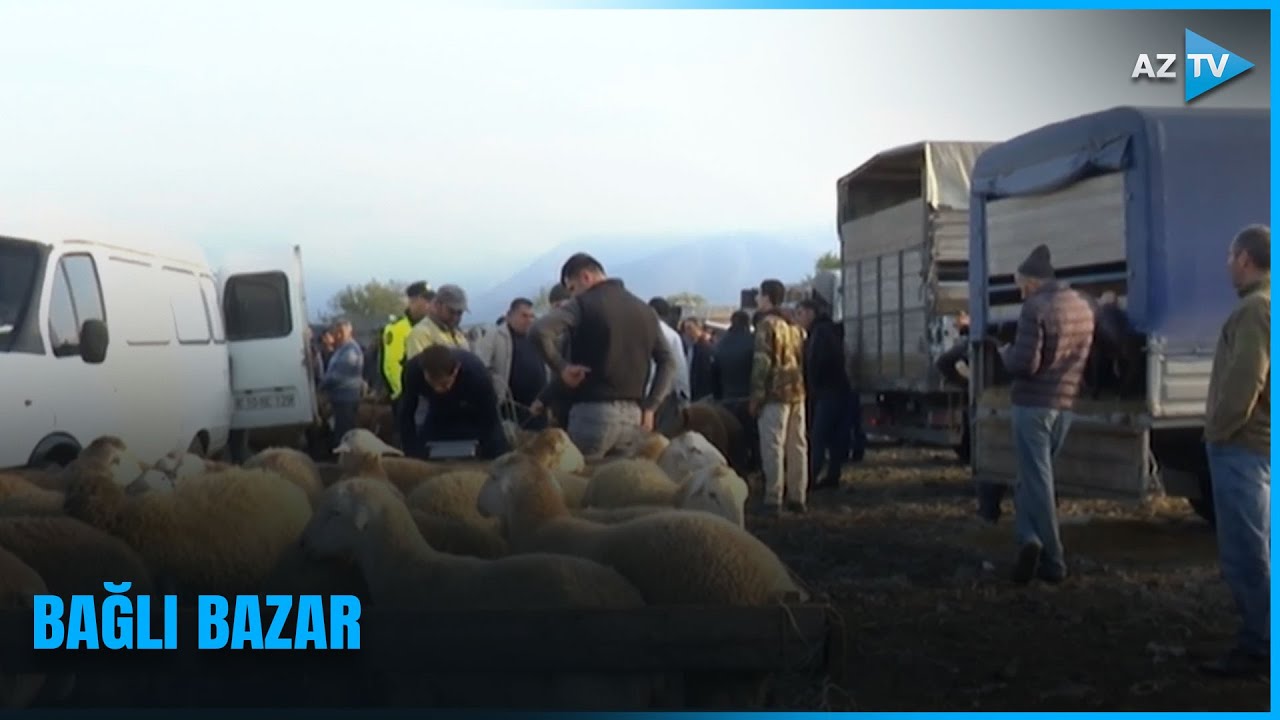Şəkidəki heyvan satışı bazarının fəaliyyəti nə zaman bərpa olunacaq?