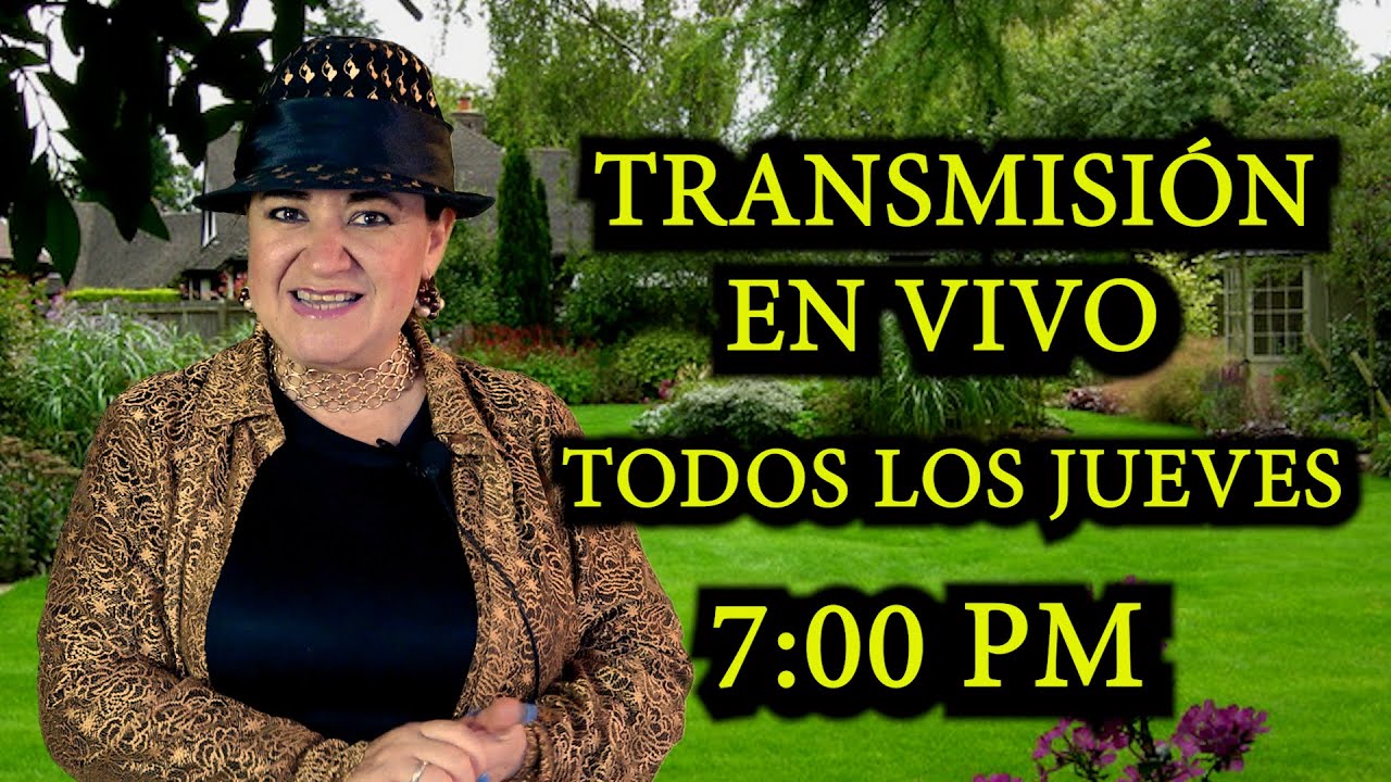 ALONDRA DEL ANGEL (EN VIVO)