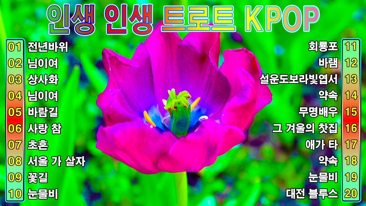 인생 인생 트로트 KPOP (TROT) PLAYLIST ☘️ ( 꽃길.상사화.여인의 눈물.회룡포.바람길...)2026 #Kpop