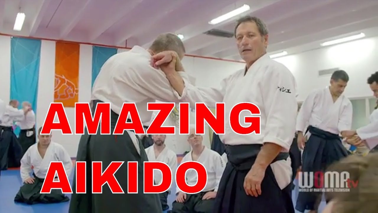 AMAZING AIKIDO Movement 24