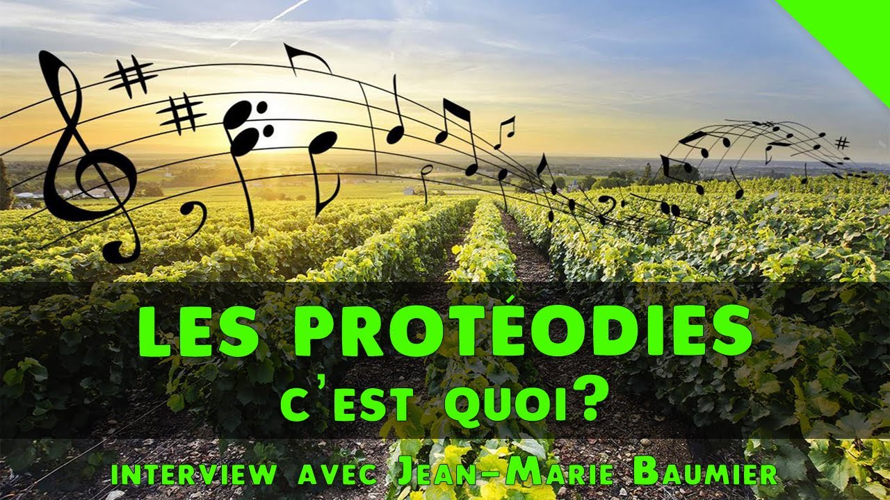 🎶 Les Protéodies, c'est quoi ? [Jean-Marie Baumier]