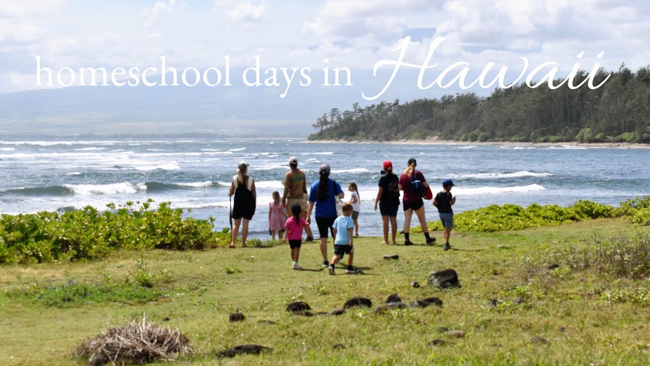 days in our homeschool hawaii life | lemonade bake sale and field trips
