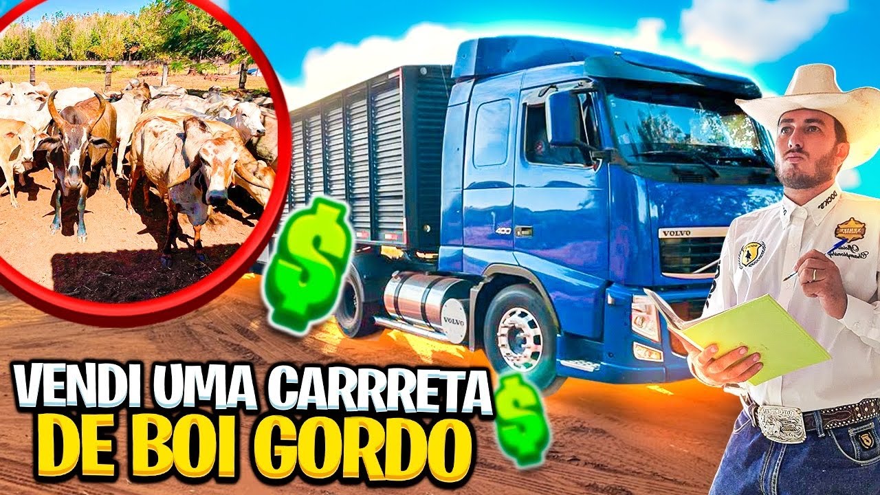 LOTAMOS UMA CARRETA DE BOI GORDO ! BANDIDNHO FOI EMBORA