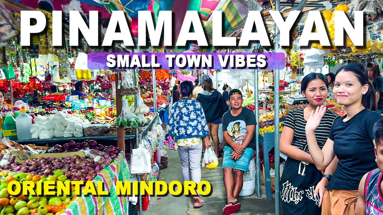 Exploring Pinamalayan 🇵🇭 | Quiet Town Walk in Oriental Mindoro | Food and Night Market Tour
