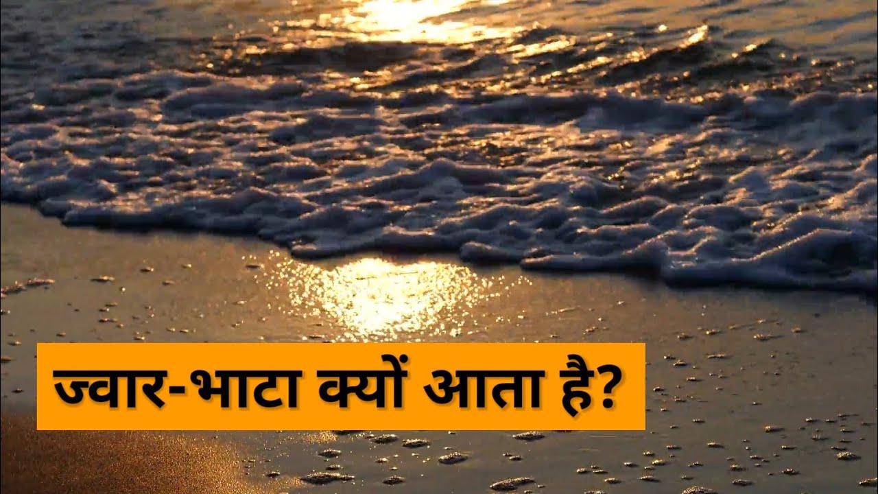 jwar bhata aane ka karan || jwar bhata kise khte hai // jwar bhata kyu aata hai