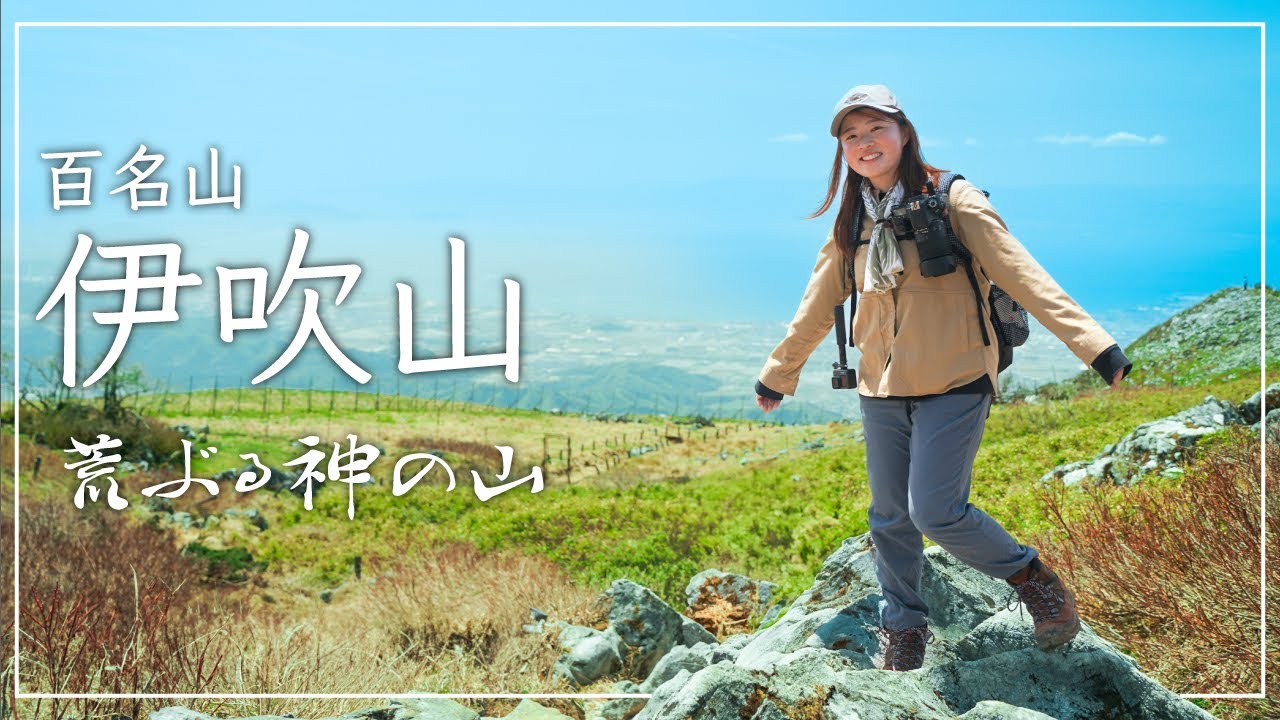 【伊吹山】ドライブウェイから荒ぶる神の山へ。お花を堪能するのんびり登山！