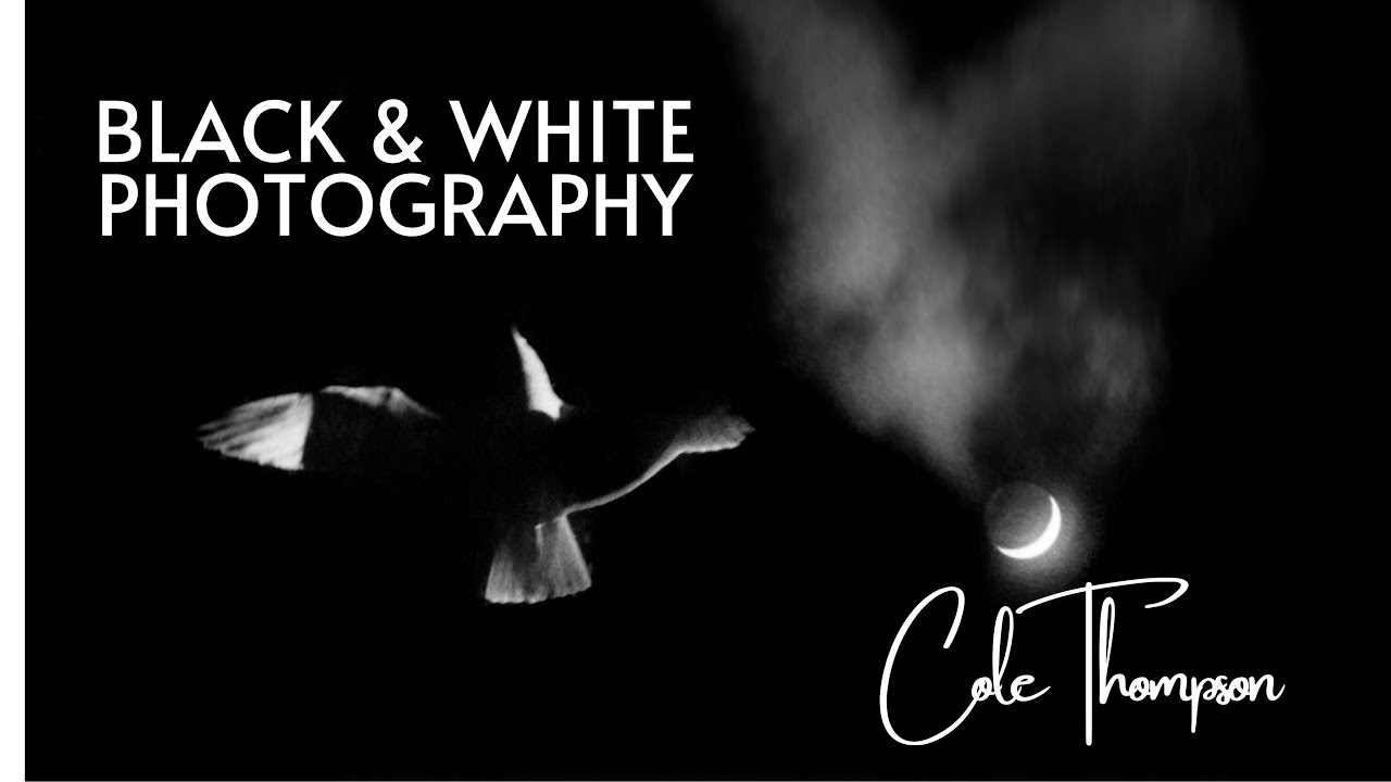 Black and White Photography | 