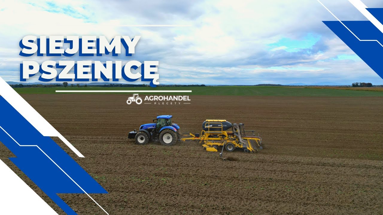 SIEW PSZENICY 2022 🌾 New Holland T7.270 🌾 Siewnik BEDNAR OMEGA OO 6000L 🌾